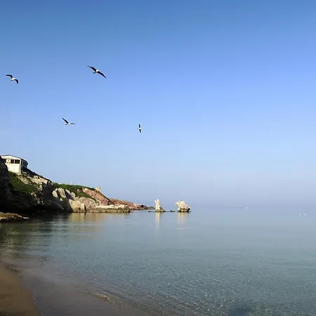 Terrasole Bakery Terrasini