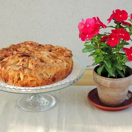 Terrasole Bakery