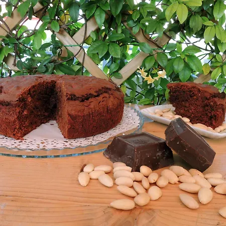 Terrasole Bakery Bed & Breakfast Terrasini