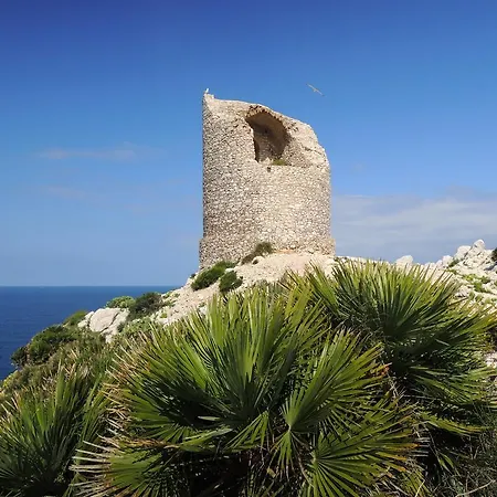 Terrasole Bakery Terrasini