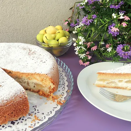 Terrasole Bakery